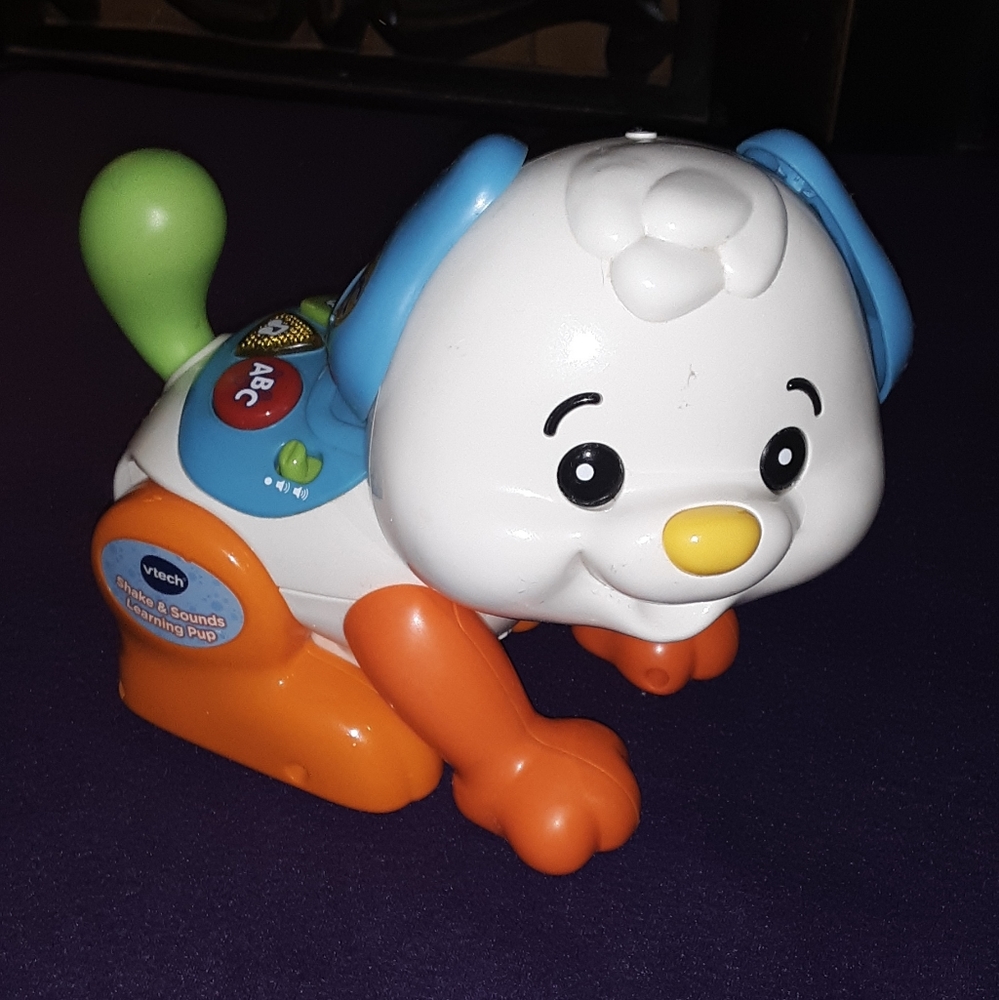 Vtech Shake and Sounds (No Bone)